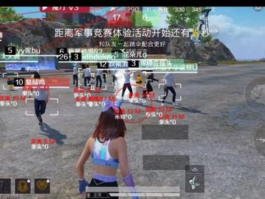 和平精英范围拾取 - 自动物资助手免费版